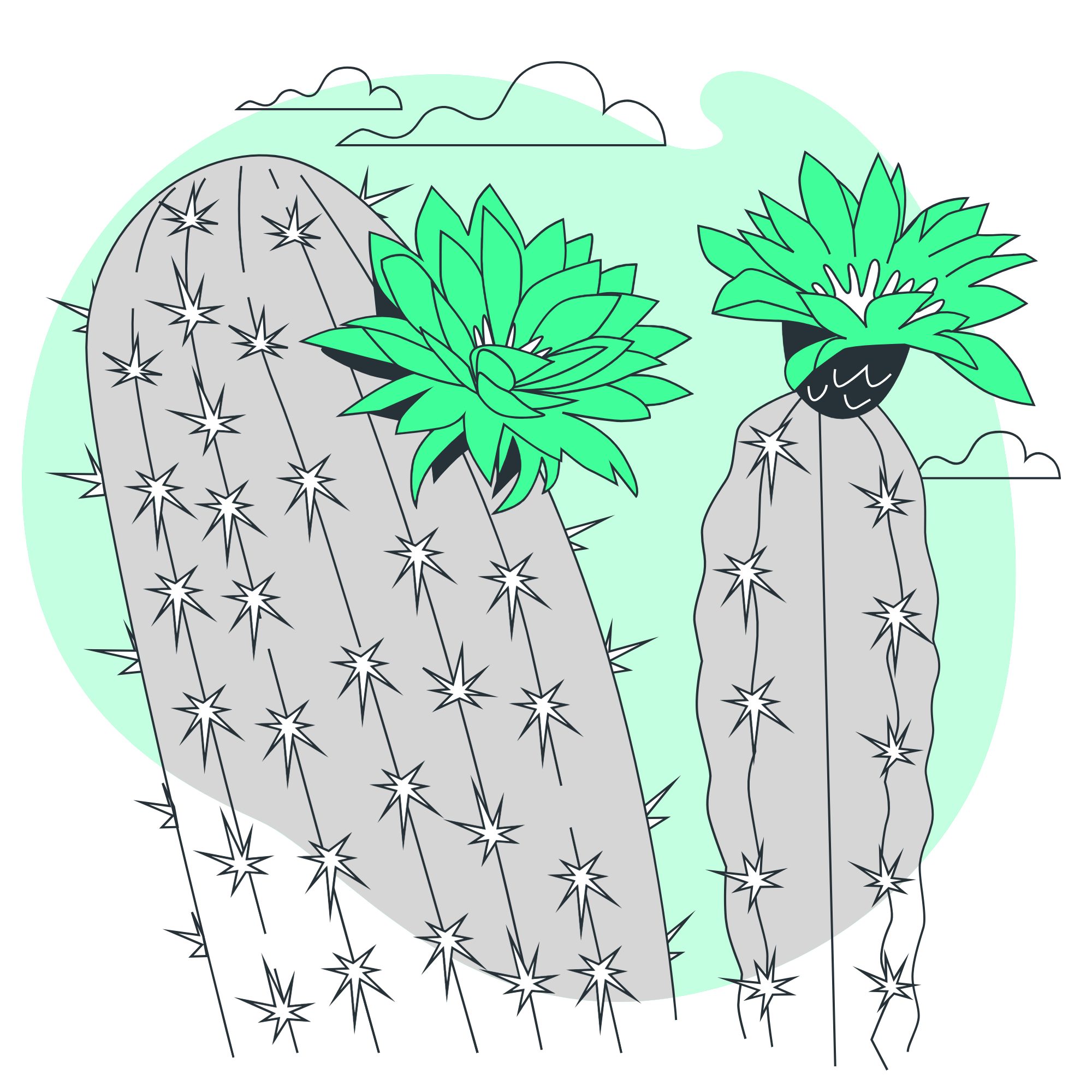 plant