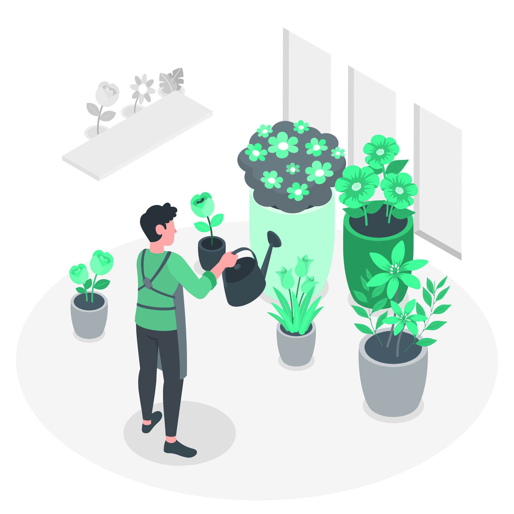 plant